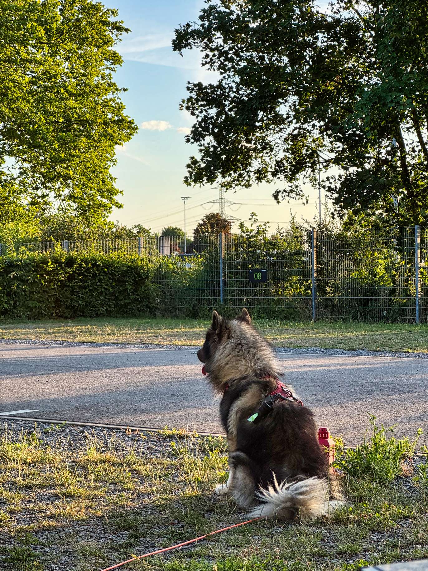 Q hält Ausschau nach Papa